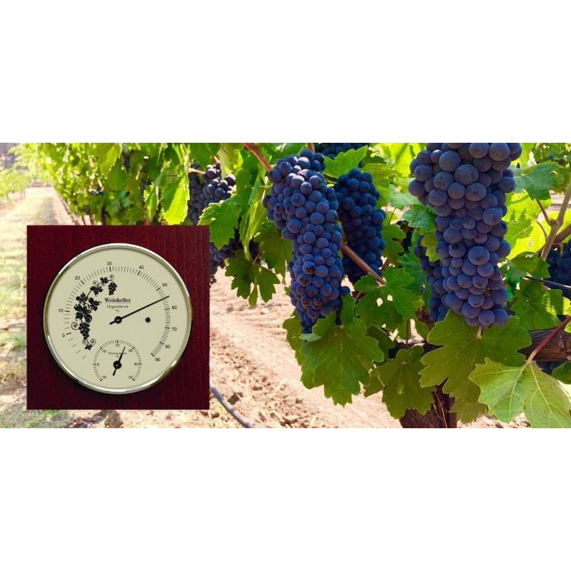 Wine Cellar Hygrometer & Thermometer – Mahogany Finish (1225HT-22)